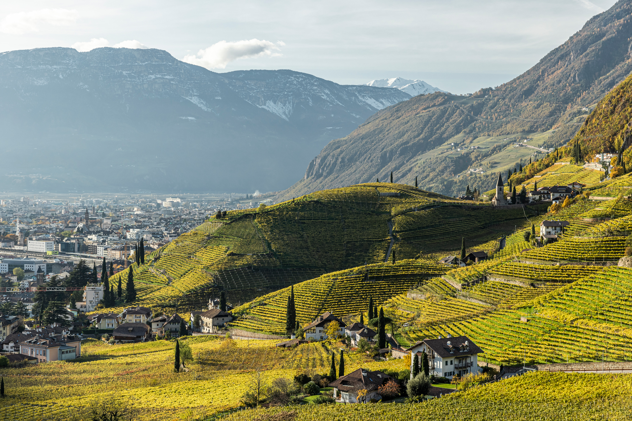 Vino Alpino: Alto Adige