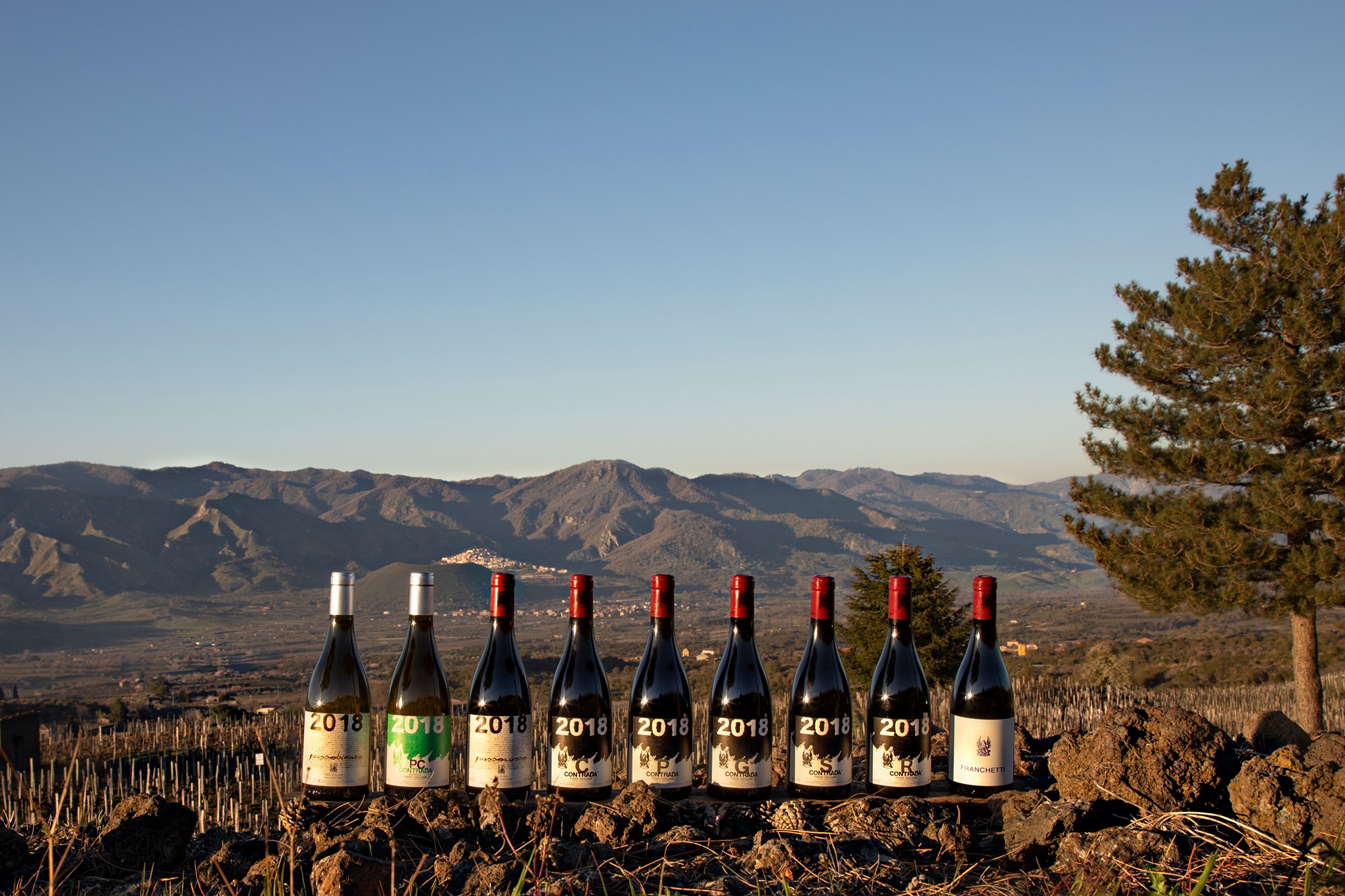 Tenuta Trinoro & Passopisciaro Wine Dinner