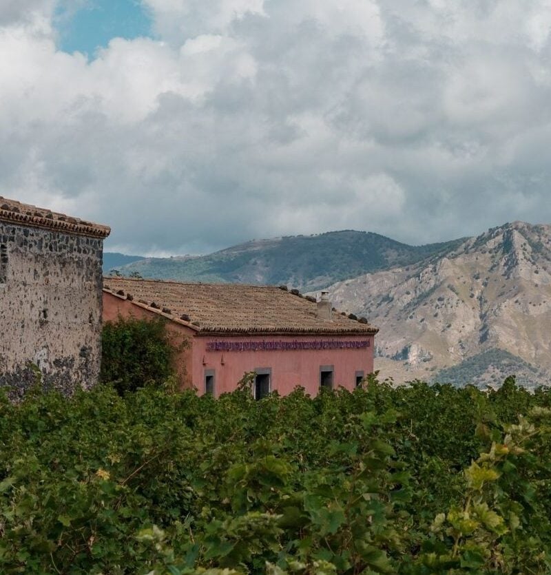 Planeta Wine Dinner