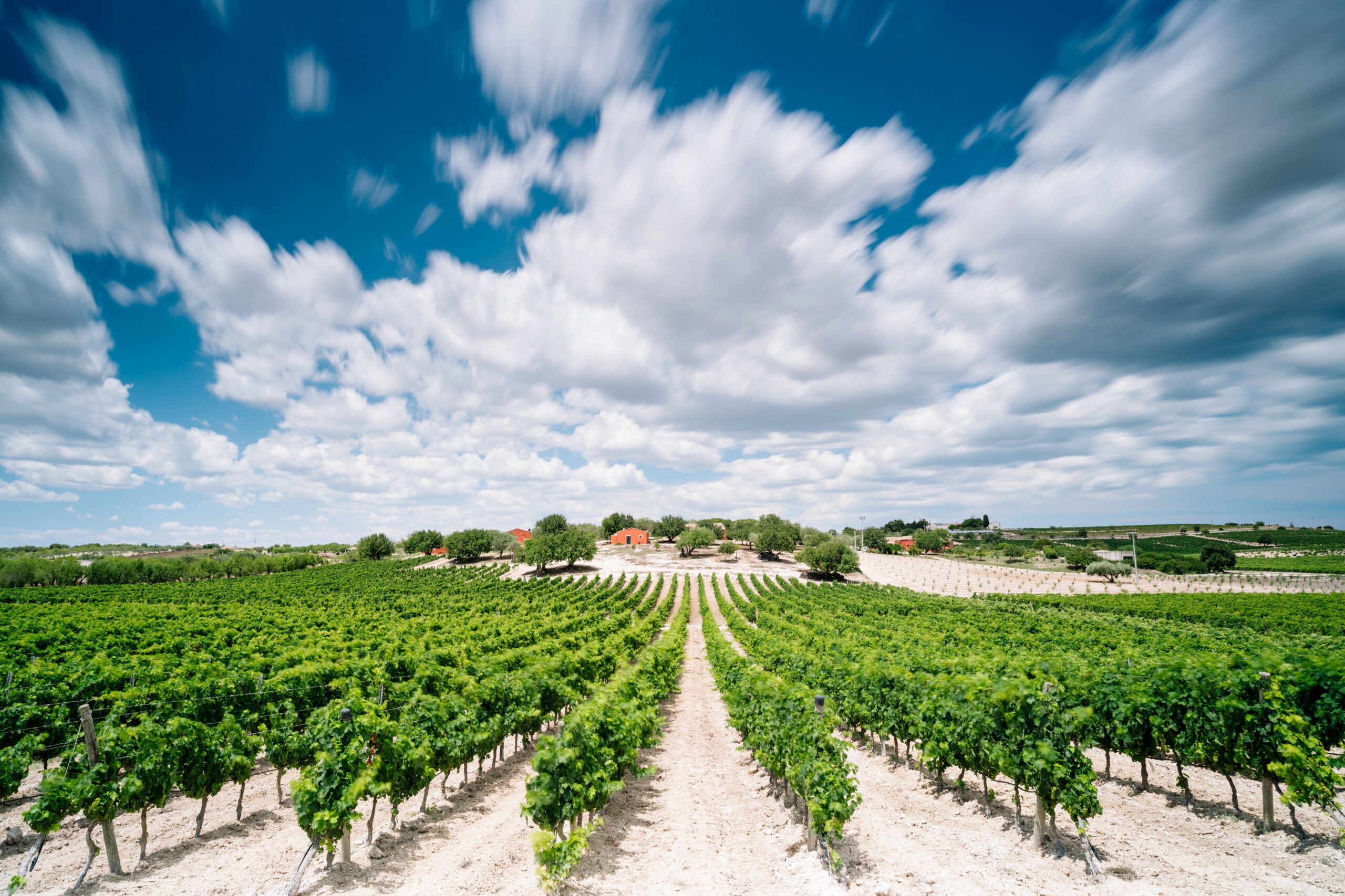 Planeta Wine Dinner