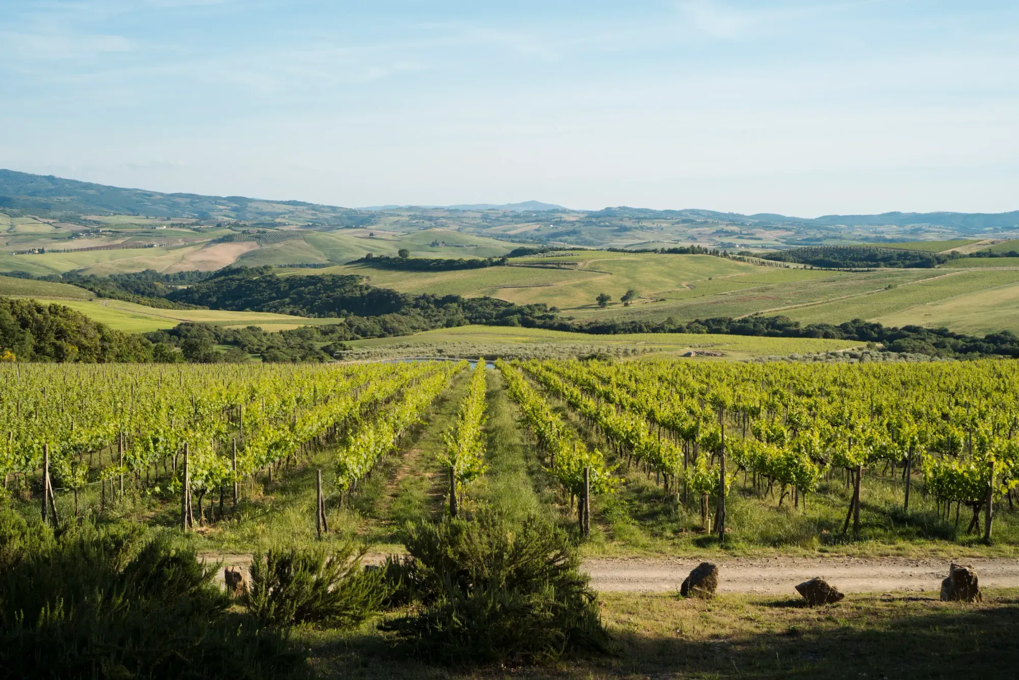 Col d’Orcia Back Vintage Brunello Dinner